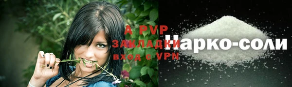 apvp Алзамай