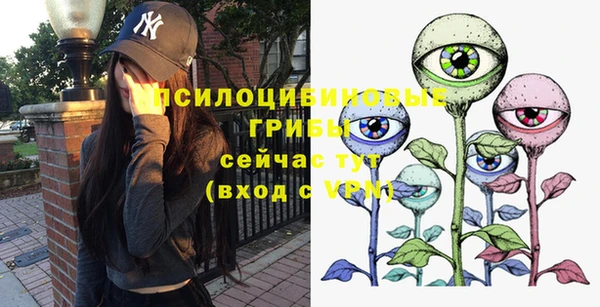 дмт Алексеевка