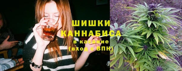 apvp Алзамай